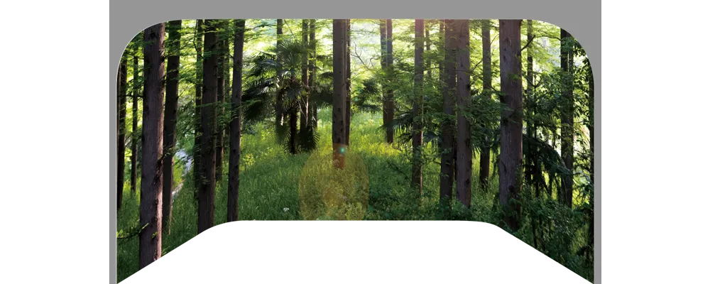 Иммерсивное светодиодное дисплейное решение zx (4)